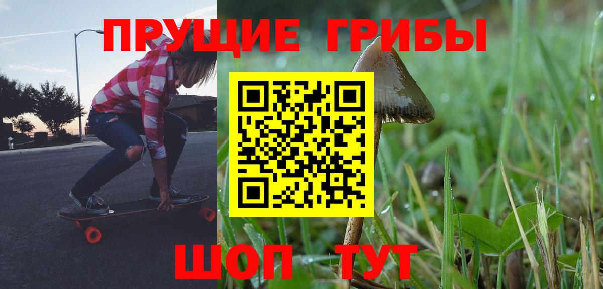 купить наркотики цена  Вход с VPN  Гай  Псилоцибиновые грибы Psilocybine cubensis 