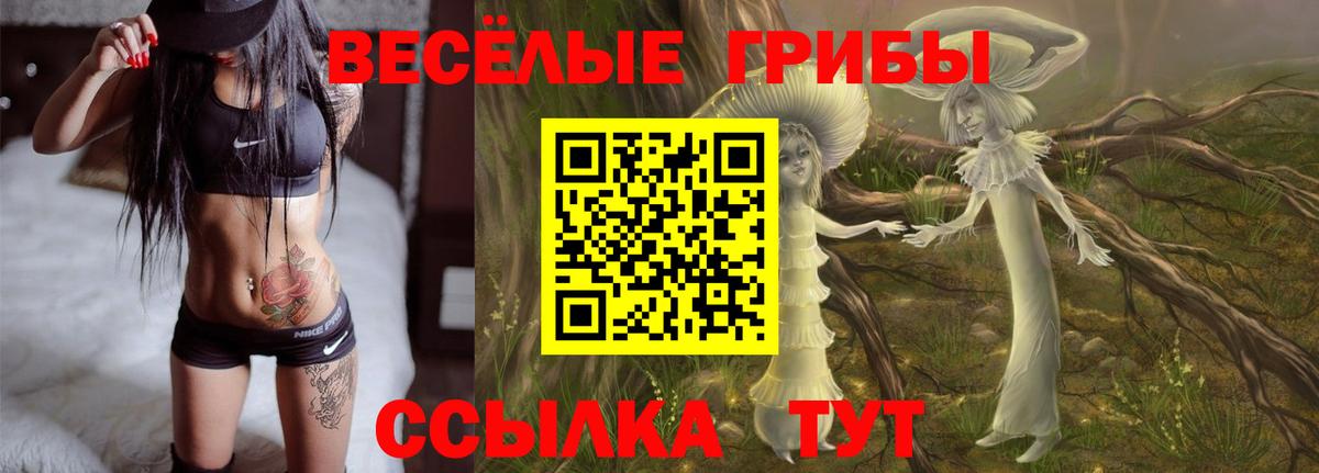 Галлюциногенные грибы мицелий Гай